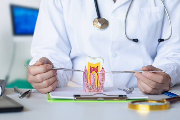 Best Pediatric Emergency Dentist in Doraville, GA
